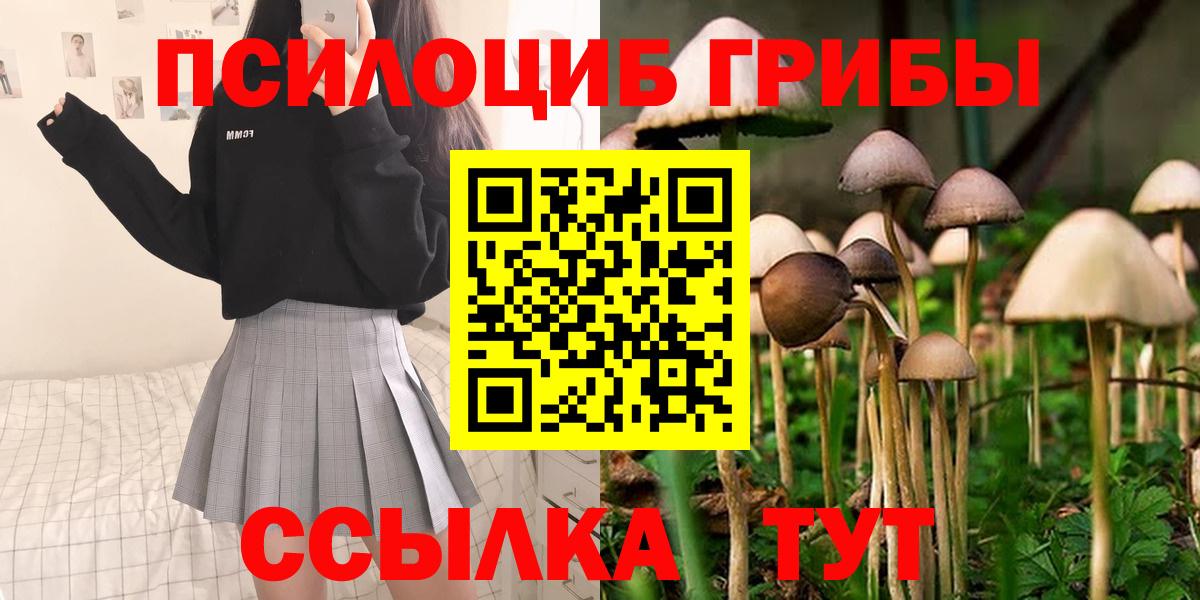 Псилоцибиновые грибы Psilocybine cubensis  Вход с VPN  Краснокамск  Галлюциногенные грибы мухоморы 